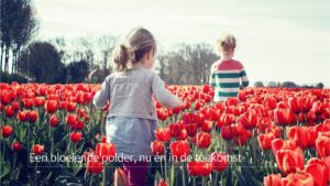 Een bloeiende polder